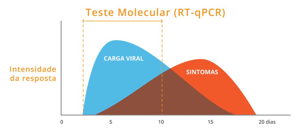 Teste molecular RT-qPCR